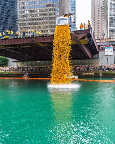 Lâcher de canards en plastique à Chicago !