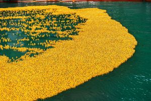 Le Chicago Ducky Derby revient le 6 ao&ucirc;t pour sa 21e &eacute;dition